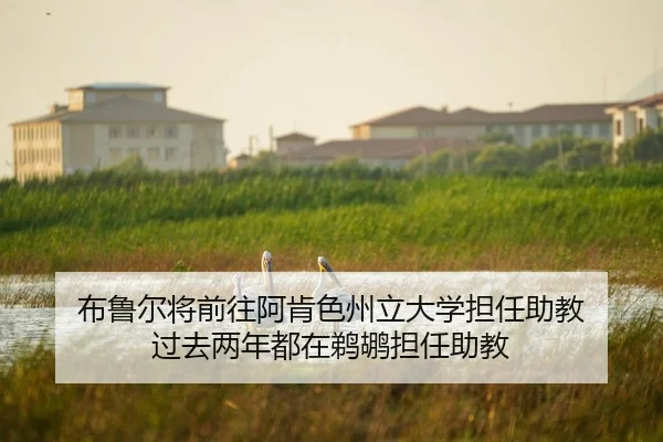 布鲁尔将前往阿肯色州立大学担任助教 过去两年都在鹈鹕担任助教 | AOASPORTS